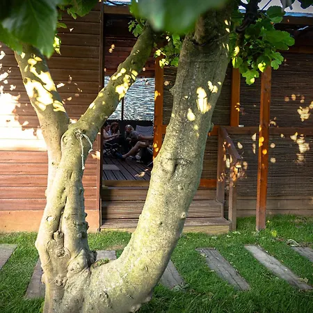 منزل ريفي Trendy Vila Cha (Porto)
